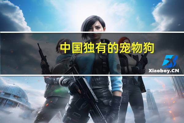 中国独有的宠物狗