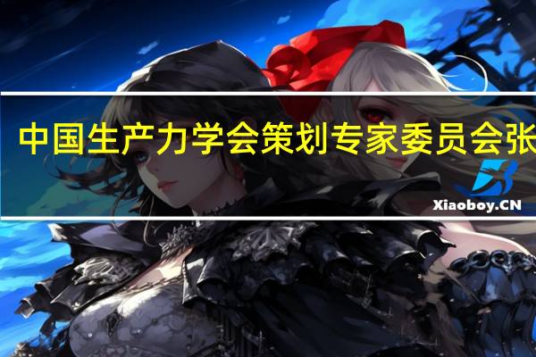 中国生产力学会策划专家委员会张原图（中国生产力学会）