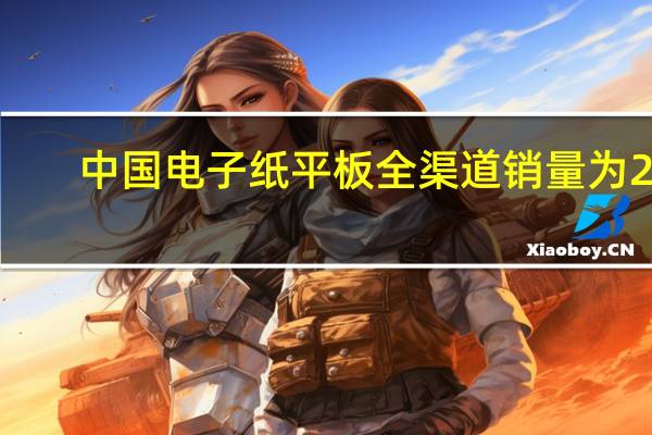 中国电子纸平板全渠道销量为23.5万台
