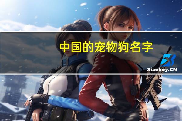 中国的宠物狗名字