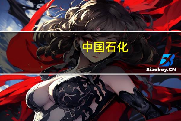中国石化：第六届进博会期间采购金额超400亿美元