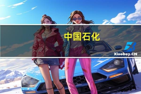 中国石化：2023年第三季度净利润同比增长34%