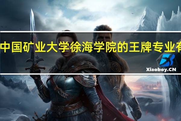 中国矿业大学徐海学院的王牌专业有哪些