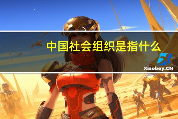 中国社会组织是指什么（社会组织是指什么）
