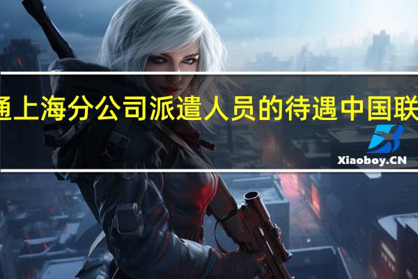 中国联通上海分公司派遣人员的待遇 中国联通上海分公司