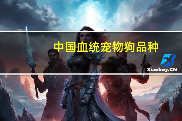 中国血统宠物狗品种