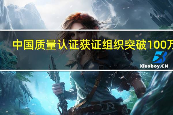 中国质量认证获证组织突破100万家