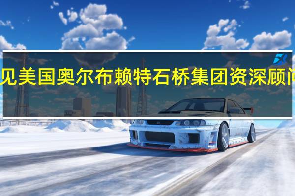 中国贸促会副会长张少刚会见美国奥尔布赖特石桥集团资深顾问、美国商会前常务副会长薄迈伦