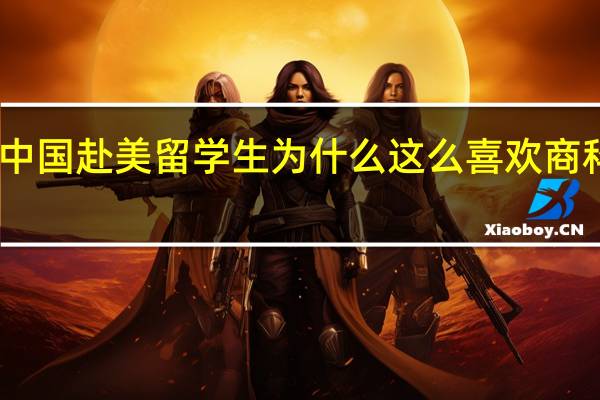 中国赴美留学生为什么这么喜欢商科专业