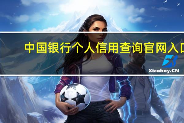 中国银行个人信用查询官网入口（中国银行个人信用查询）