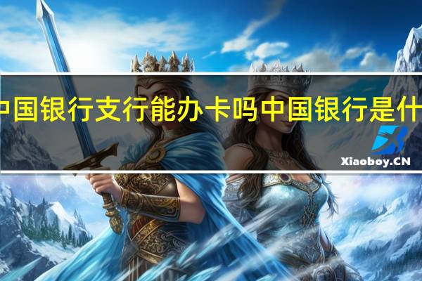 中国银行支行能办卡吗中国银行是什么银行