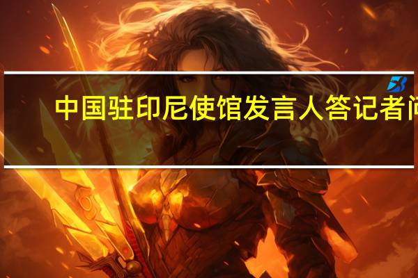 中国驻印尼使馆发言人答记者问