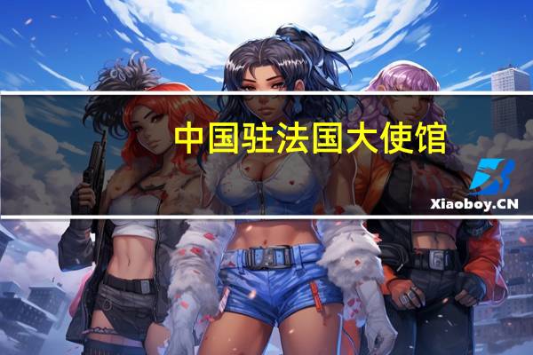 中国驻法国大使馆:暂时免采部分赴华签证申请人指纹
