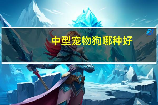 中型宠物狗哪种好