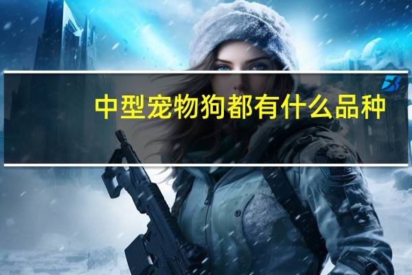 中型宠物狗都有什么品种