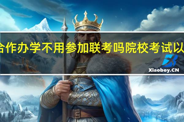 中外合作办学不用参加联考吗院校考试以笔试进行吗