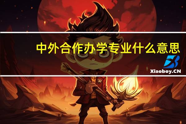 中外合作办学专业什么意思