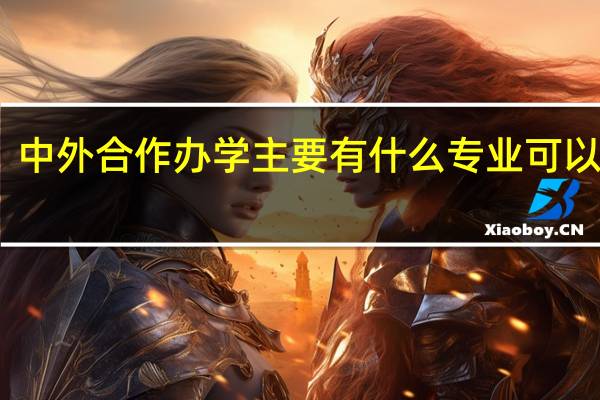 中外合作办学主要有什么专业可以选择