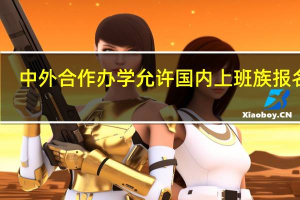 中外合作办学允许国内上班族报名吗