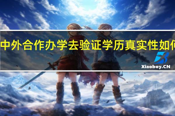 中外合作办学去验证学历真实性如何操作