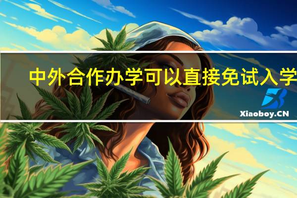 中外合作办学可以直接免试入学吗