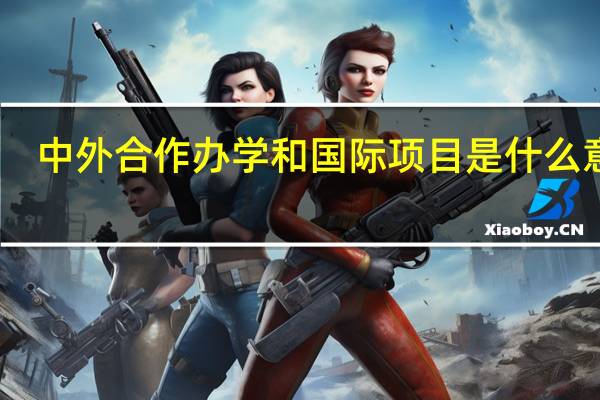 中外合作办学和国际项目是什么意思