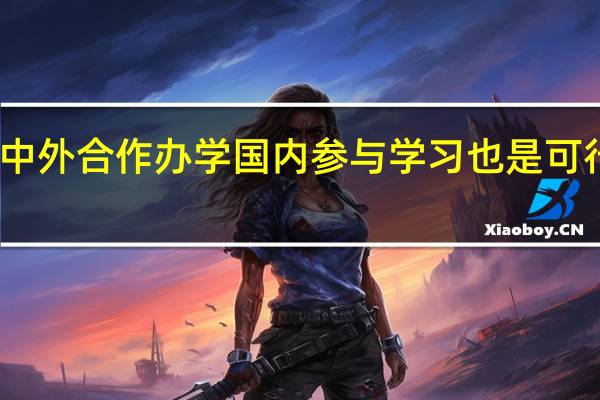 中外合作办学国内参与学习也是可行的吗