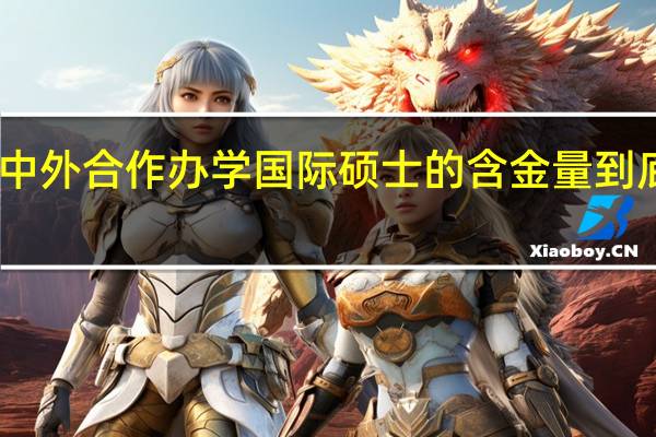 中外合作办学国际硕士的含金量到底如何