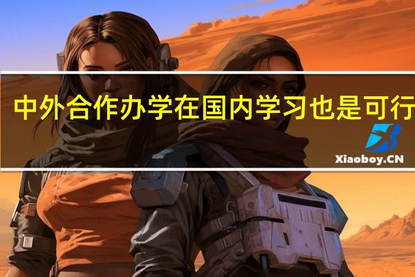 中外合作办学在国内学习也是可行的吗
