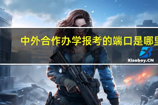 中外合作办学报考的端口是哪里
