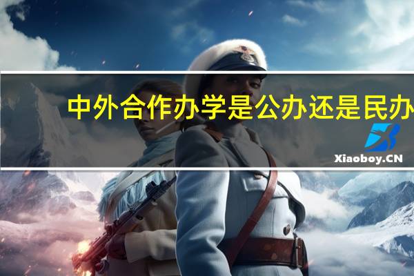 中外合作办学是公办还是民办