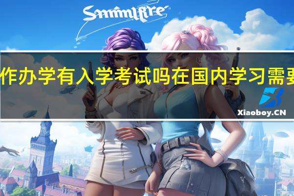 中外合作办学有入学考试吗在国内学习需要外语基础吗