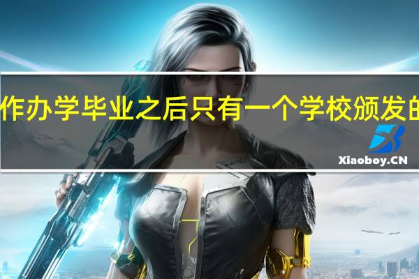 中外合作办学毕业之后只有一个学校颁发的学位证书吗