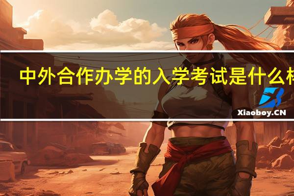中外合作办学的入学考试是什么样的