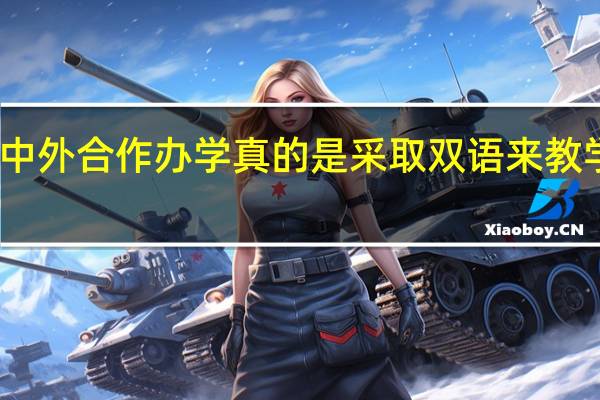 中外合作办学真的是采取双语来教学的吗