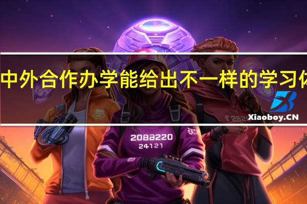 中外合作办学能给出不一样的学习体验吗