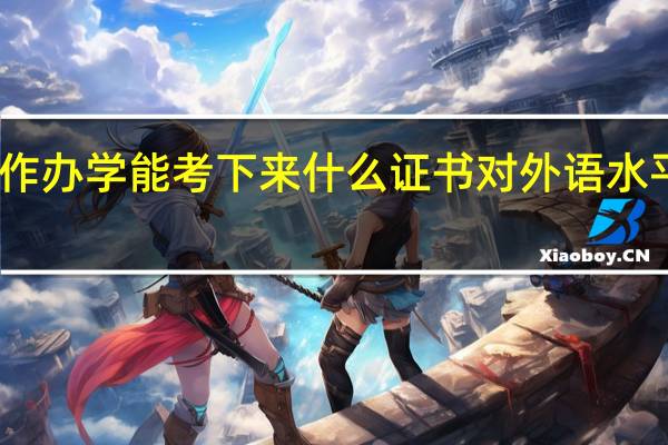 中外合作办学能考下来什么证书对外语水平的要求高吗