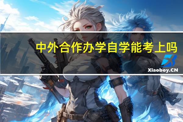 中外合作办学自学能考上吗