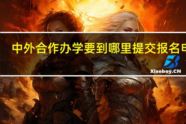中外合作办学要到哪里提交报名申请