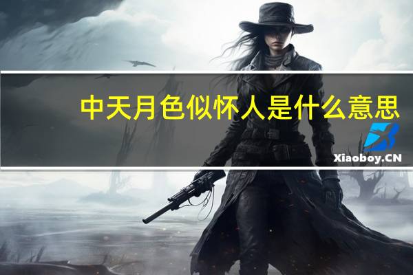 中天月色似怀人是什么意思