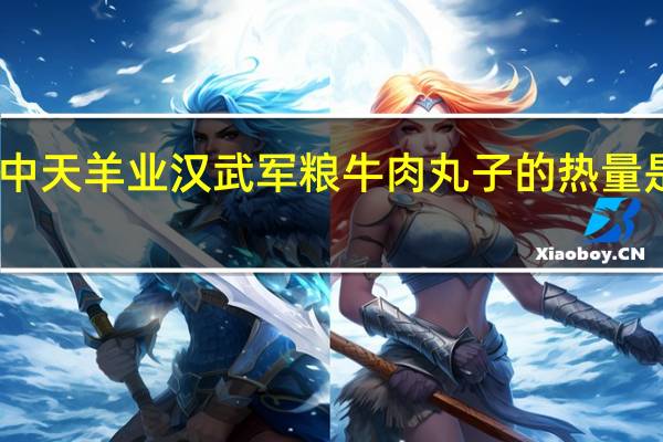 中天羊业 汉武军粮 牛肉丸子的热量是多少
