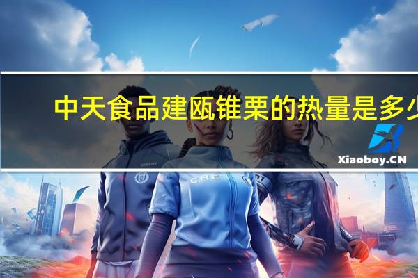 中天食品 建瓯锥栗的热量是多少