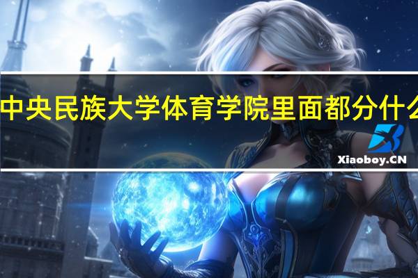 中央民族大学体育学院里面都分什么专业
