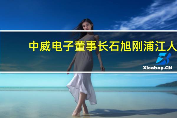 中威电子董事长石旭刚浦江人(石旭刚-杭州中威电子股份有限公司董事长介绍)