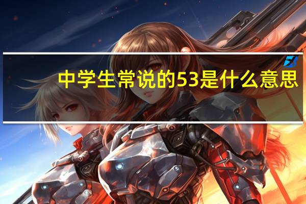 中学生常说的53是什么意思