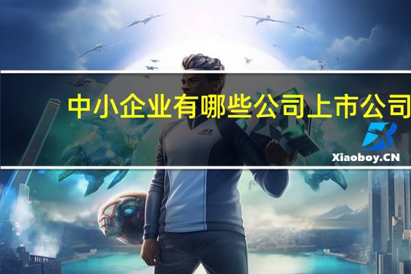 中小企业有哪些公司上市公司（中小企业有哪些公司）