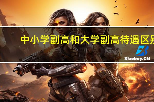 中小学副高和大学副高待遇区别