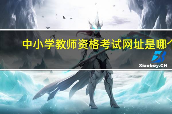 中小学教师资格考试网址是哪个