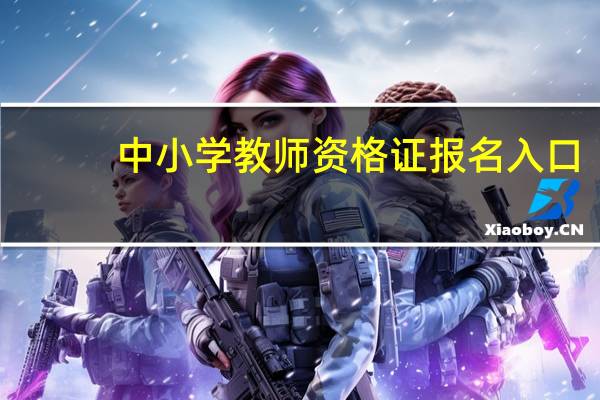 中小学教师资格证报名入口