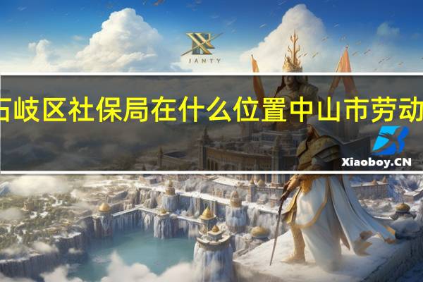 中山市石岐区社保局在什么位置 中山市劳动和社会保障局